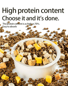 Cibo <span class=keywords><strong>per</strong></span> <span class=keywords><strong>Cani</strong></span> Secco di Alta Qualità OEM/ODM ad Alto Contenuto Proteico, Produzione all'Ingrosso di Alimenti <span class=keywords><strong>per</strong></span> <span class=keywords><strong>Cani</strong></span> e Animali Domestici - Product Image 3