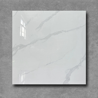 Carreaux de sol en porcelaine 60x60, aspect marbre blanc et noir brillant, poli, émaillé, pleine masse, rectifié, pour intérieur