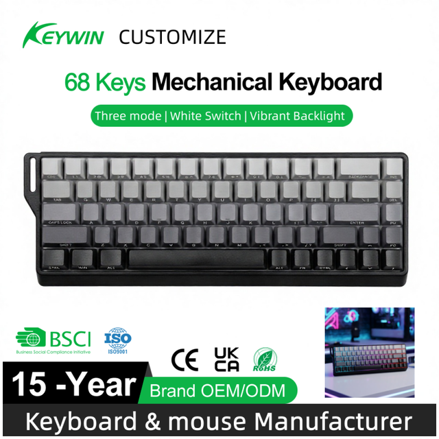 Factory Ready-ship 65% 68-key RGB Side-etched Keycaps Hotswap Three-mode USB Wired 2.4g Wireless BT Mechanical Gaming Keyboard