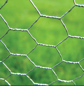 รั้วลวดตาข่ายไก่หกเหลี่ยมสำหรับสัตว์ทำจากสเตนเลสสตีล - Product Image 6