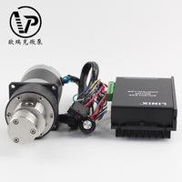 Forte puissance 120w acier inoxydable 316 Mini pompe à engrenages Portable automatique entraînement magnétique pompes à engrenages externes
