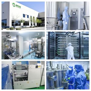 באיכות גבוהה הקפאה חמוציות אבקת חמוציות מקור פירות טבעי עשיר נוגדי חמצון תוספי מזון בריא שייק בקבוק - Product Image 2