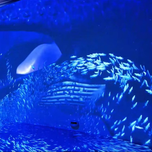 Jeux d'aquarium interactifs immersifs en 3D, projection murale à 360 degrés, projection immersive, exposition de musée - Product Image 1