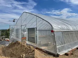 Cheap Price Small Agricultural Tunnel Green House For Greenhouse Farming And Gardening