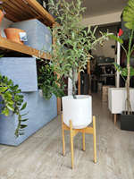 Pots de plantes vintage en fibre d'argile pour fleurs Pots de haute qualité durables jardinières décoratives en Offre Spéciale pots en gros pour fleurs
