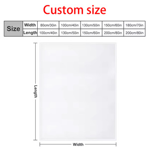 Bán buôn thoải mái mềm flannel chăn tùy chỉnh kỹ thuật số in nhiệt thăng hoa tất cả các mùa phim hoạt hình động vật rắn máy bay - Product Image 3