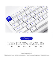 Akko MOD 007B PC Blue White OEM Mechanical Keyboard PBT Keycaps Multi-mode Hot-Swappable RGB Backlit Custom 75% 3600mAh Battery
