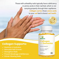 Gummies de biotine et de collagène à marque privée, peptides hydrolysés avec vitamines C, E et zinc, 2 gommes par jour pour stimuler la santé des cheveux, de la peau et des ongles