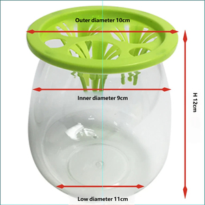 Maceta Hidropónica de Plástico Transparente Apta para Hierba del Dinero, Bambú, Orquídea Piel de Tigre - Product Image 6