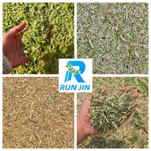 Trituratore di Foraggio 8000kg/h con Catena, Macchina Automatica per Tagliare l'Erba per Alimentazione del Bestiame in Fattoria - Product Image 4