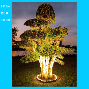 Faro LED in Alluminio Impermeabile IP65 di Alta Qualità 12-20W Bianco Caldo RGB Controllo DMX512 Angolo di Illuminazione 15-60° - Product Image 6