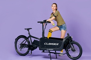 Stock en Europe, nouveau design, vélo <span class=keywords><strong>électrique</strong></span> pour adultes, vélo <span class=keywords><strong>électrique</strong></span> pour animaux de compagnie, vélo cargo longtails, vélo <span class=keywords><strong>électrique</strong></span> - Product Image 4