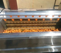 304 Edelstahl Bürstenwalzen-Typ Wasch- und Schälmaschine für Maniok, Süßkartoffeln, Karotten, Ingwer, Kurkuma und Kartoffeln