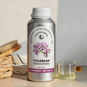Huile Essentielle de Racine de Valériane Distillée à la Vapeur Pure, Huile de Valériane Végétale <span class=keywords><strong>en</strong></span> Gros pour Soins Nocturnes, Massage et Parfum d'Ambiance - Product Image 4