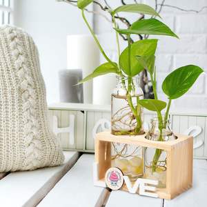 Terrarium de plantes avec support en bois, Vase en verre à Tube de jardinière à Air, décoration hydroponique de la maison, du jardin et du bureau-Propagation des plantes - Product Image 5