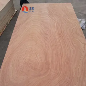 Fancy oak veneered birch comercial plywood okouma Veneered Plywood Sheet 1220*2440 Plywood bintangor