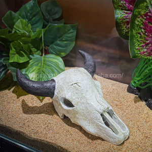 21cm Simulation personnalisable Afrique corne <span class=keywords><strong>de</strong></span> <span class=keywords><strong>taureau</strong></span> crâne nouveau Reptile amphibiens scène animale lézard Geckos araignée aquarium décoration - Product Image 4