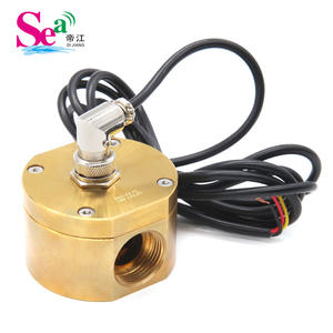 Débitmètre à engrenages elliptiques en cuivre, capteur d'huile liquide à effet Hall pour stations-service (6 minutes) - Product Image 4