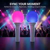 Projecteur LED portable à commande par application, certifié TELEC/KCC, DMX/RF/Bluetooth, couleurs personnalisables, logo, utilisation extérieure pour concerts
