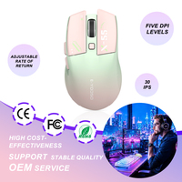 Souris de jeu à taux de polling de 1000 Hz, capteur basse consommation KA8G2, DPI réglable sur 5 niveaux, souris optique ergonomique pour PC portable OEM