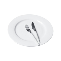Ecologisch verantwoorde minimalistische witte porseleinen serviesset van hoge kwaliteit, vaatwasserbestendig, voor thuis, restaurant en feestjes.