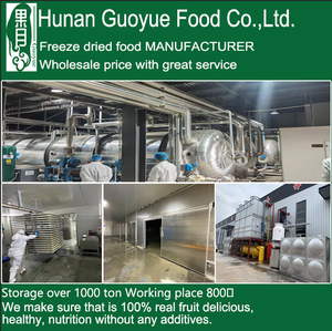 Collations saines yaourt lyophilisé fraise myrtille jaune pêche saveur mixte parfum croquant <span class=keywords><strong>nutrition</strong></span> sans additif - Product Image 5