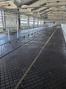 Revêtement de sol en <span class=keywords><strong>caoutchouc</strong></span> de haute qualité pour étable laitière, <span class=keywords><strong>tapis</strong></span> en <span class=keywords><strong>caoutchouc</strong></span> épais pour le bien-être des vaches - Product Image 6