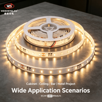 Bande LED SMD2835 80 LED à spectre complet, lumière blanc chaud, 5m, haute efficacité 180lm/w, CRI 83, effet lumière solaire, pour aménagement paysager