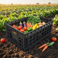 Caisse en plastique pliable HAOSEN, durable et écologique, légère, empilable et emboîtable pour la transformation alimentaire et l'emballage des légumes