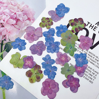Fiori di Ortensia Essiccati e Pressati all'Ingrosso per Decorazioni Fai-da-Te, Segnalibri in Resina, Gioielli, Cartoline e Cover per Telefoni