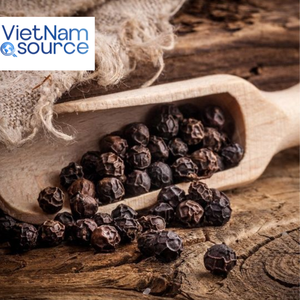 Pimienta Negra de Calidad Superior - Exportación de Fábrica - Cultivo Natural con 12.5% de Humedad - Suministro a Granel - Empaque OEM - Daklak - Product Image 1