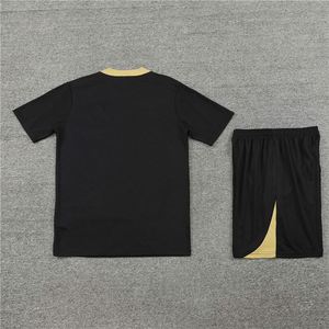 Tenues de football d'été imprimées, maillot d'entraînement à manches courtes, maillot 24/25 Paris, polyester/nylon respirant, séchage rapide, col rond - Product Image 3
