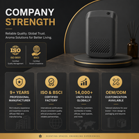 Diffuseur de parfum commercial, machine à arôme pour hôtel, diffuseur d'huiles essentielles à nébulisation à froid pour grandes surfaces