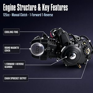 <span class=keywords><strong>Motor</strong></span> <span class=keywords><strong>de</strong></span> 125cc para ATV/Go Kart, <span class=keywords><strong>con</strong></span> Embrague Manual, 1 Avance y 1 Retroceso, Cilindro <span class=keywords><strong>de</strong></span> Aluminio, Venta al Por Mayor - Product Image 3