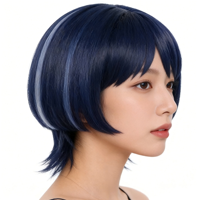 Perruque Cosplay Wanderer Bleue à Pompon, Fibre Haute Température Résistante à la Chaleur, Cheveux Courts et Raides, Anime, Densité 150%, Ligne de Cheveux Naturelle