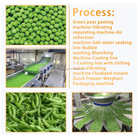 Machine industrielle de découpe, de tranchage, de séchage et d'emballage de mangues, de gingembre et d'ail pour ligne de production de fruits et légumes secs