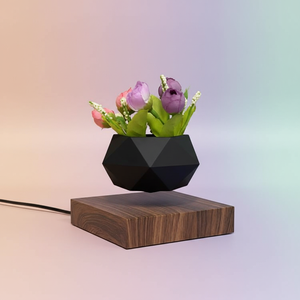 Pot de fleurs nordique miniature écologique à <span class=keywords><strong>lévitation</strong></span> magnétique avec base <span class=keywords><strong>en</strong></span> bois, pot à bonsaï flottant pour usage domestique - Product Image 6
