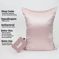16 19 22 Momme Vente en Gros 100% Biologique Taie d'Oreiller en Soie de Mûrier Housse de Coussin en Soie de Luxe Ensemble Cadeau Taie d'Oreiller en Soie
