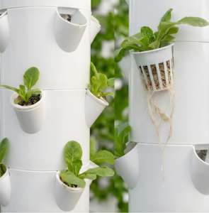 ปั๊มไฮโดรโปนิกส์แนวตั้งอัจฉริยะสำหรับระบบปลูกผักในบ้านแบบกะทัดรัด - Product Image 3