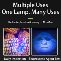 Lampe UV portable pour ongles, type lampe torche, rechargeable USB-C, lumière LED pour le durcissement du gel avec affichage numérique du minuterie 30s 60s pour le nail art