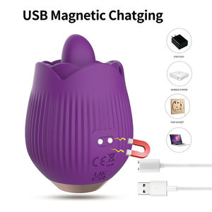 Hot Seller G-Spot Lip Zuigen Vrouwelijke Speelgoed Krachtige Borst Massager Bedrade Zachte Siliconen Tepel En Clitoris Stimulatie Roos - Product Image 3