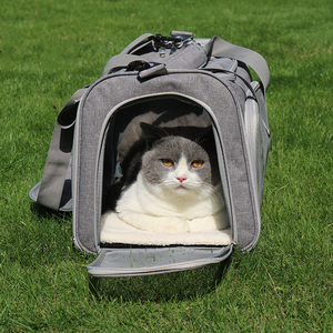 Toptan tasarımcı evcil hayvan taşıyıcı taşınabilir köpek yumuşak evcil hayvan taşıyıcı tasarımcı çantası sırt çantası küçük orta kediler köpekler - Product Image 4