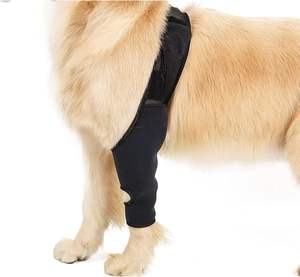 Factory Dog Knee Brace for Torn Acl Hind Legs Pet Knee Pads Dog Elbow Protector Injuiry Leg Support Thigh Joint Dog Knee Brace - Product Image 2