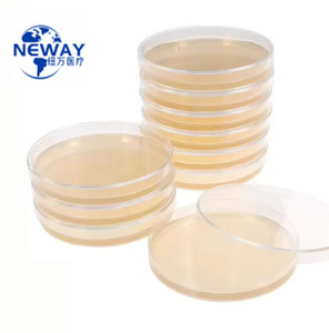 Placa Petri de 90x15mm estéril de plástico de <span class=keywords><strong>laboratorio</strong></span> con <span class=keywords><strong>agar</strong></span> de dextrosa de patata Placa de Petri de 9cm - Product Image 2