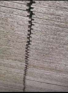 3600mm * 1200mm x 18mm/19mm/20mm/22mm Lengua y ranura <span class=keywords><strong>OSB</strong></span> Suelo de lengua negra - Product Image 4