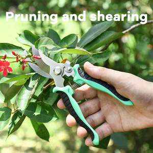Plant Cutting Tools 3Cr13 Steel Manual Garden Scissor Branches Tree <strong>Pruner</strong> with Plastic Handle - Product Image 2