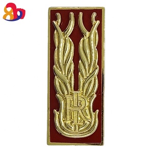 Wholesale Customized Cartoon Logo Metal Badges Modern Style UV Printed Rectangle Shape Electroplated Manufactured Metal Craft