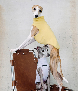 Ropa de Casa de punto acogedor para mascotas y Cárdigan para perros para ropa de <span class=keywords><strong>perro</strong></span> cálida de interior ligera de lujo - Product Image 3