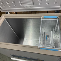 Congélateur à porte battante électrique Homa 200L pour l'extérieur, stockage de poissons congelés, boulettes de viande, usage hôtelier et domestique, congélateur réfrigéré