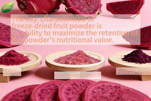 KLIFE, venta al por mayor, polvo orgánico liofilizado de pitaya roja y rosa, polvo de fruta de dragón - Product Image 2